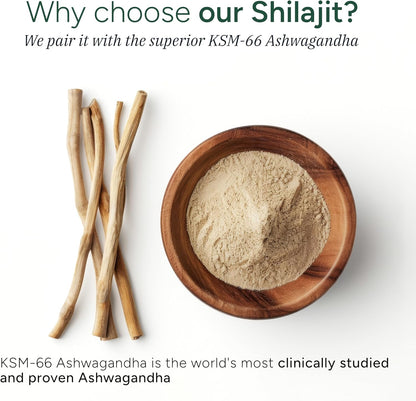 Pilative - Powerful 10 in 1 - Alpha Gummies