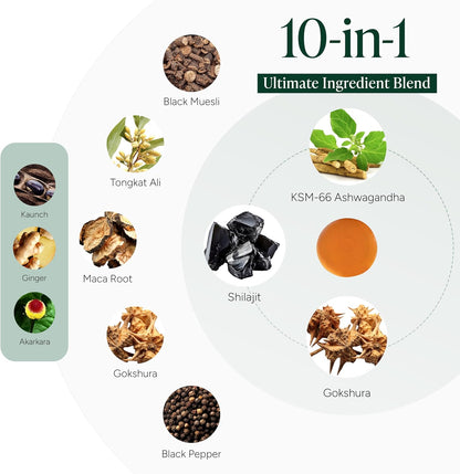 Pilative - Powerful 10 in 1 - Alpha Gummies